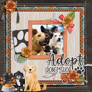 Adopt