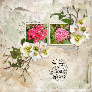Year Of Memories March-Palvinka.jpg