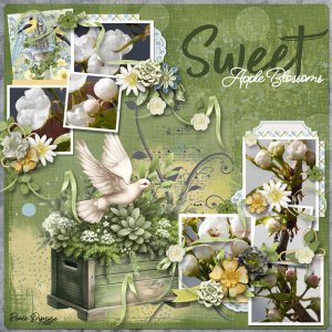 Sweet Spring