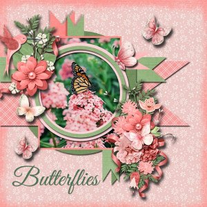 Butterflies