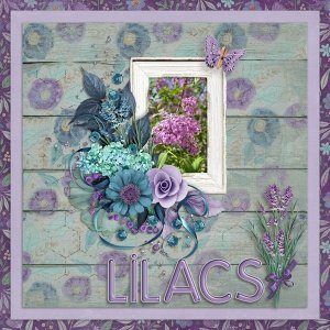 Lilacs-web.jpg