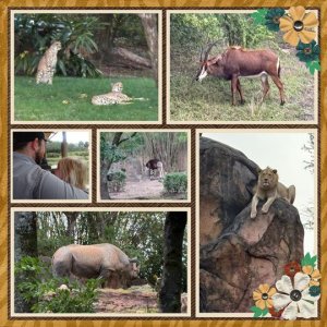 AK-Safari-2.jpg
