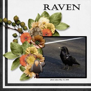 09-05-Raven small.jpg