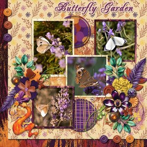 ButterflyGarden_ollitko_600.jpg