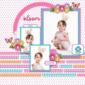 Bloom
