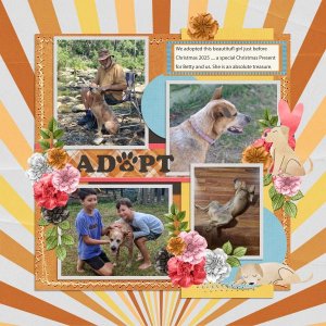 Adopt