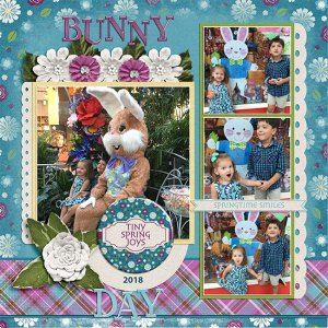 2018-bunny-at-the-mall-SCD_H2B3_TP2-copy.jpg