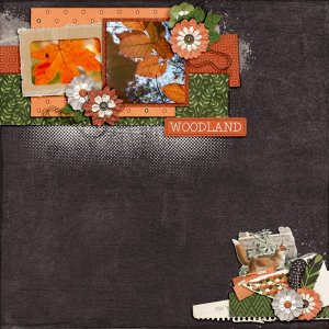 Woodland25