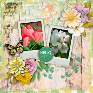 Hello-spring.jpg