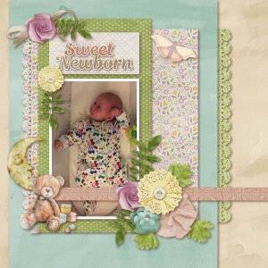 Sweet Newborn