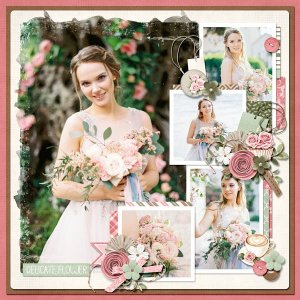 Pink Roses