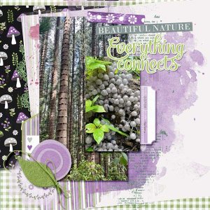 Mushrooms-beneath-pines-webv.jpg