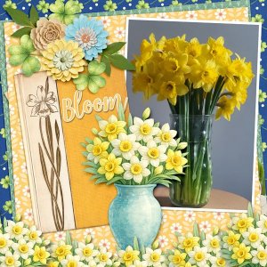 #2026-March-Daffodils.jpg