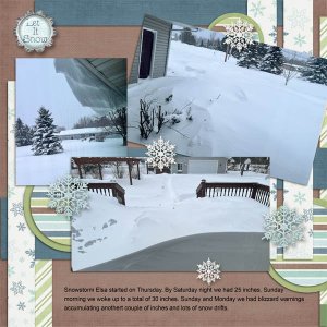 Snowstorm Elsa R.jpg