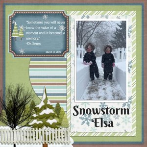 Snowstorm Elsa L.jpg