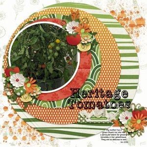 Heritage Tomatoes