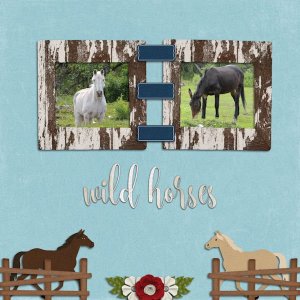 Wild Horses
