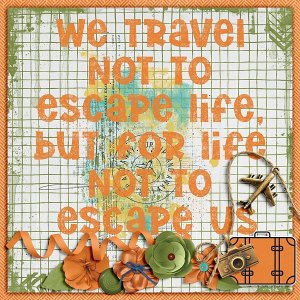 We travel