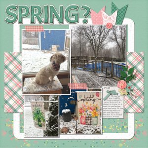 Hello Spring? 3/14/26