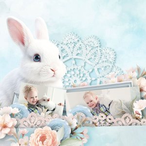 Basket Full Of Love