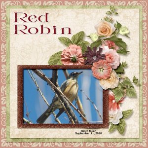 10-09-Red Robin small.jpg