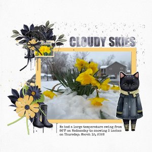 Cloudy Skies