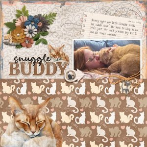 My Snuggle Buddy Cheddar