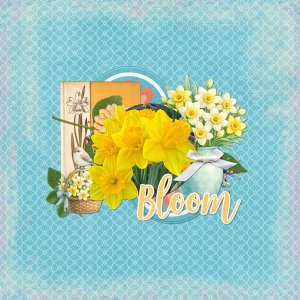 Bloom