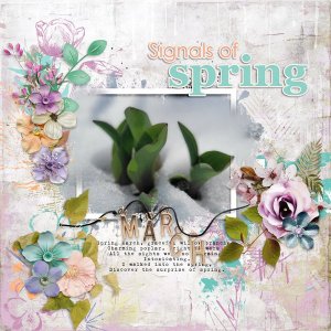 Signals-of-Spring.jpg