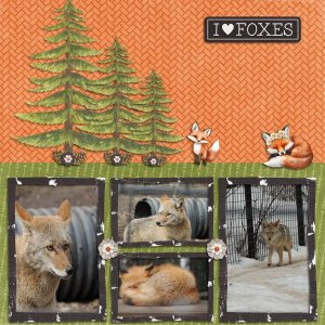 foxes