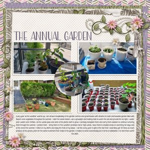 Starting-the-Garden-small.jpg