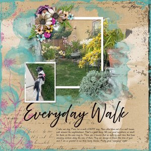 Everyday Walk