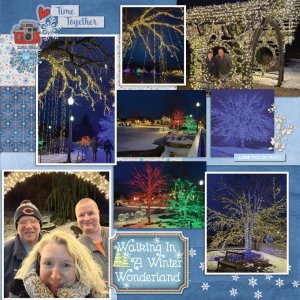 Sparkly Winter Walk at the Wellfield Botanic Garden 2/14/26- Page 2