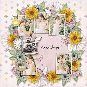 Snapshots of Life