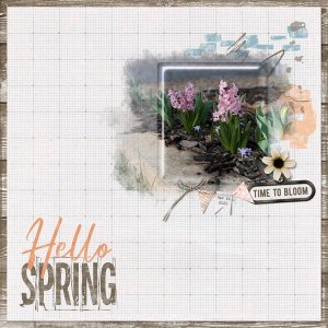 2026-03_JBS_SpringShowers_photochallenge.jpg