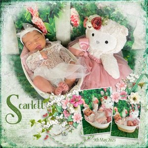 20230509-Scarlett-Photo-Shoot-20260326.jpg