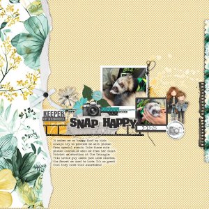 Snap-Happy.jpg