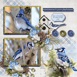 Blue Jays