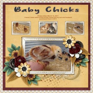 11-03-Baby Chicks small.jpg