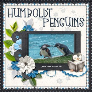 11-4-Hymboldt Penguin small.jpg