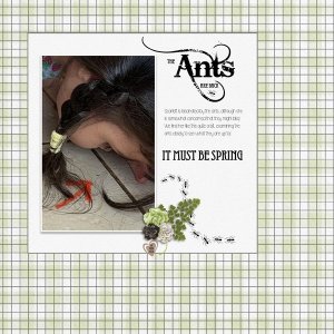 20260319-The-Ants-are-Back-20260327.jpg