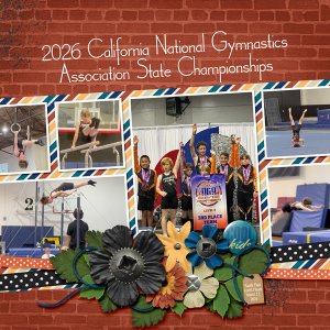 2026 CA National Gymnastics Association State Championships