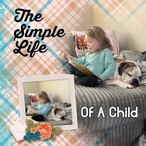 The-Simple-Life.jpg