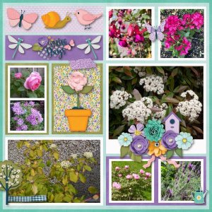 Signs Of Spring