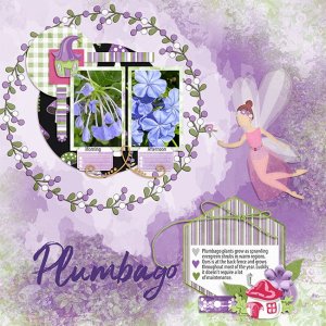 Plumbago-Plants-SCD_WSO2_TP4-copy-2.jpg
