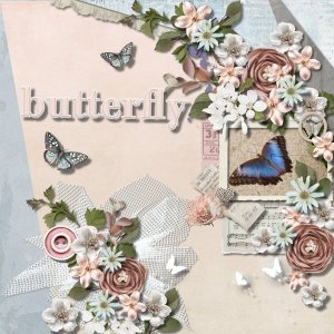 Butterfly