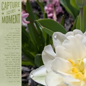 2026-03_journalingChallenge_AngelleHopIntoSpring_WAW_TheMoment.jpg