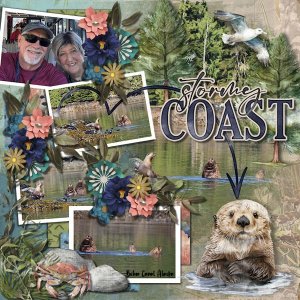 DLPatt_StoneyCoast_web.jpg