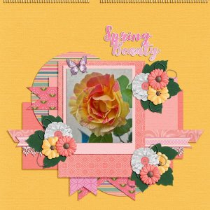 spring beauty