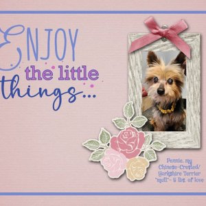 Enjoy the little things...